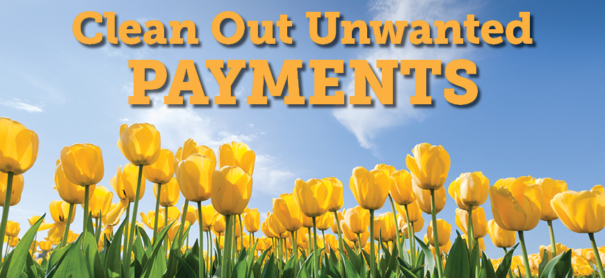 Spring Clean Your Finances With Acu America S Credit Union